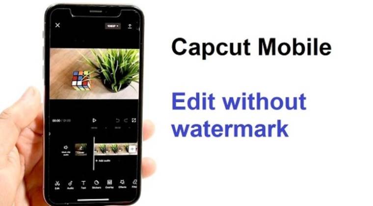 Capcut Mod APK